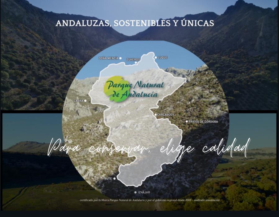 Baldosa hidráulica Marca Parque Natural de Andalucía 